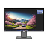 Lenovo ThinkVision P32UD-40, Monitor LED Nero