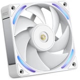 NZXT Ventilatore Performance F120X, Ventola bianco