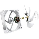 NZXT Ventilatore Performance F120X, Ventola bianco