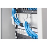 Digitus Pannello patch modulare, 8 porte, Patch Panel Nero, 8 porte, Nero, Montaggio a rack, 1U, 270 mm, 120 mm, 171,212 g