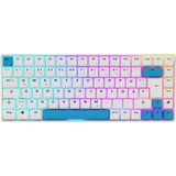Sharkoon SKILLER SGK50 S3 PBT, Tastiera da gioco bianco/Blu chiaro