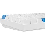 Sharkoon SKILLER SGK50 S3 PBT, Tastiera da gioco bianco/Blu chiaro