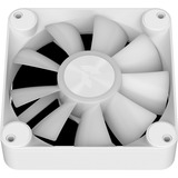 APNX FP1-120-3 Pack, Ventola bianco