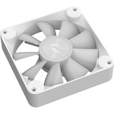 APNX FP1-120-3 Pack, Ventola bianco