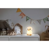 Ansmann Luce notturna Pinguino Leon bianco