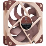 Noctua NF-A12x25 G2 LS-PWM, Ventola marrone/Beige