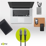 goobay Cavo USB 2.0, connettore USB-C > connettore USB-C grigio/Argento
