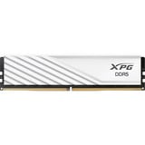 ADATA DIMM 16 GB DDR5-6000, Memoria bianco