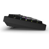 Sharkoon SKILLER SGK55W, Tastiera da gioco Nero