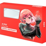 ADATA LANCER memoria 32 GB 2 x 16 GB DDR5 288-pin DIMM bianco, 32 GB, 2 x 16 GB, DDR5, 6400 MHz, 288-pin DIMM