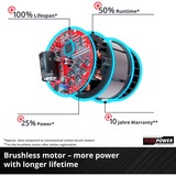 EINHELL Power X-Change AGILLO 3411320 Batterie Rechargeable Motorsense sans Batterie Rechargeable 36V, Decespugliatore rosso/Nero