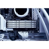 Kingston FURY FURY Beast 32 GB 5200 MT/s DDR5 CL40 DIMM White XMP, Memoria bianco, 32 GB, 1 x 32 GB, DDR5, 288-pin DIMM
