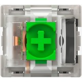 Razer Green Switch-Set, Interruttore a pulsante verde/trasparente