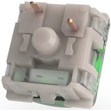 Razer Green Switch-Set, Interruttore a pulsante verde/trasparente