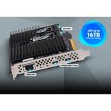 Sonnet McFiver 10GBASE-T, Scheda di interfaccia 