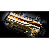 G.Skill DIMM 64 GB DDR5-6000 (2x 32 GB) Kit dual, Memoria oro