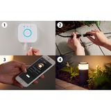 Philips Hue Piedistallo Calla per esterni, Luce LED Nero, Philips Hue White and Color ambiance Piedistallo Calla per esterni, Illuminazione su base/asta intelligente, Bluetooth/Zigbee, Nero, LED, Alluminio, Lampadina/e non sostituibile/i