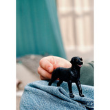 Schleich Farm World Cucciolo di Labrador Retriever nero, Gioco figura 