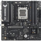 ASUS TUF GAMING A620AM-PLUS, Scheda madre 