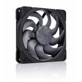 Noctua NF-A12x25 G2 PWM chromax.black, Ventola Nero
