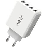 Ansmann HC430 Bianco Interno, Caricabatterie bianco, Interno, AC, 5 V, Bianco