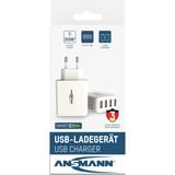 Ansmann HC430 Bianco Interno, Caricabatterie bianco, Interno, AC, 5 V, Bianco