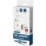 Ansmann HC430 Bianco Interno, Caricabatterie bianco, Interno, AC, 5 V, Bianco