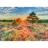 Schmidt Spiele Brughiera al tramonto, Puzzle 