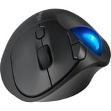 Kensington Pro Fit Ergo TB450 Trackball Nero/Blu, Mano destra, RF senza fili + Bluetooth