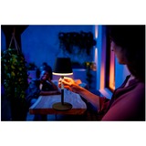 Philips Hue Lampada da tavolo portatile Hue Go Nero, Philips Hue White and Color ambiance Lampada da tavolo portatile Hue Go, Lampada da tavolo intelligente, Bluetooth/Zigbee, Nero, LED, Metallo, Lampadina/e non sostituibile/i