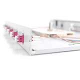 Digitus Scatola di giunzione fibra ottica, 1U, equipaggiata, LC, OM4 grigio