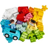 LEGO DUPLO Contenitore di mattoncini, Giochi di costruzione Set da costruzione, 1,5 anno/i, 65 pz, 1,05 kg
