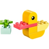 LEGO DUPLO La mia prima anatra, Giochi di costruzione Set da costruzione, 1,5 anno/i, Plastica, 7 pz, 64 g