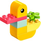 LEGO DUPLO La mia prima anatra, Giochi di costruzione Set da costruzione, 1,5 anno/i, Plastica, 7 pz, 64 g