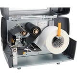 Zebra ZT231, Stampante per etichette Nero