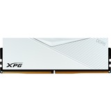 ADATA LANCER memoria 32 GB 1 x 32 GB DDR5 288-pin DIMM bianco, 32 GB, 1 x 32 GB, DDR5, 6400 MHz, 288-pin DIMM