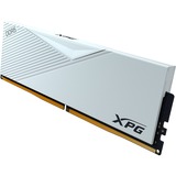 ADATA LANCER memoria 32 GB 1 x 32 GB DDR5 288-pin DIMM bianco, 32 GB, 1 x 32 GB, DDR5, 6400 MHz, 288-pin DIMM