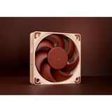 Noctua NF-A6x15 PWM, Ventola 