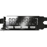 PNY GeForce RTX 5050 Doppia Ventola, Scheda grafica 