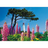 Schmidt Spiele Leuchtturm Dornbusch, Hiddensee, Puzzle 