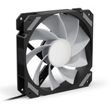 Sharkoon SHARK Mirror RGB PWM REVERSE, Ventola Nero