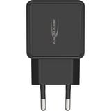 Ansmann HC218PD Nero Interno, Caricabatterie Nero, Interno, AC, 12 V, Nero