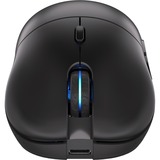 ENDORFY Gem Plus Wireless, Mouse da gioco Nero