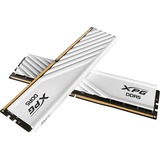 ADATA Lancer Blade memoria 32 GB 2 x 16 GB DDR5 6400 MT/s 288-pin DIMM Data Integrity Check (verifica integrità dati) bianco, 32 GB, 2 x 16 GB, DDR5, 288-pin DIMM