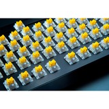 Razer Yellow Switch-Set, Interruttore a pulsante giallo/trasparente