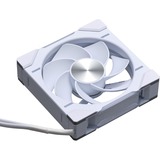Phanteks D30-120 PWM Reverse DRGB, Ventola bianco