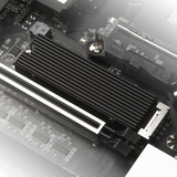 SilverStone SST-TP05, Dissipatore di calore Nero