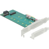 DeLOCK 89047 scheda di interfaccia e adattatore Interno M.2, SATA, Controllore PCIe, M.2, SATA, A basso profilo, PCIe 4.0, 5 - 50 °C, -25 - 70 °C
