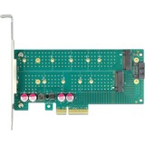 DeLOCK 89047 scheda di interfaccia e adattatore Interno M.2, SATA, Controllore PCIe, M.2, SATA, A basso profilo, PCIe 4.0, 5 - 50 °C, -25 - 70 °C