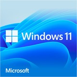 Microsoft Windows 11 Home 1 licenza/e, Software 1 licenza/e, 64 GB, 4096 GB, 1000 GHz, Inglese, DVD